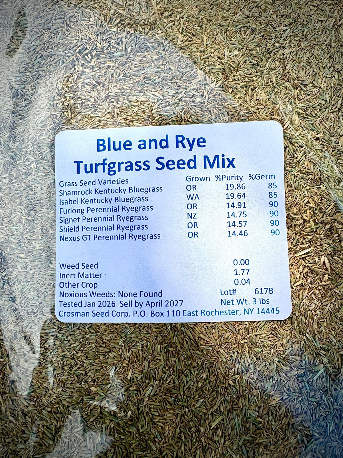 Blue and Rye Turfgrass Seed Mix 