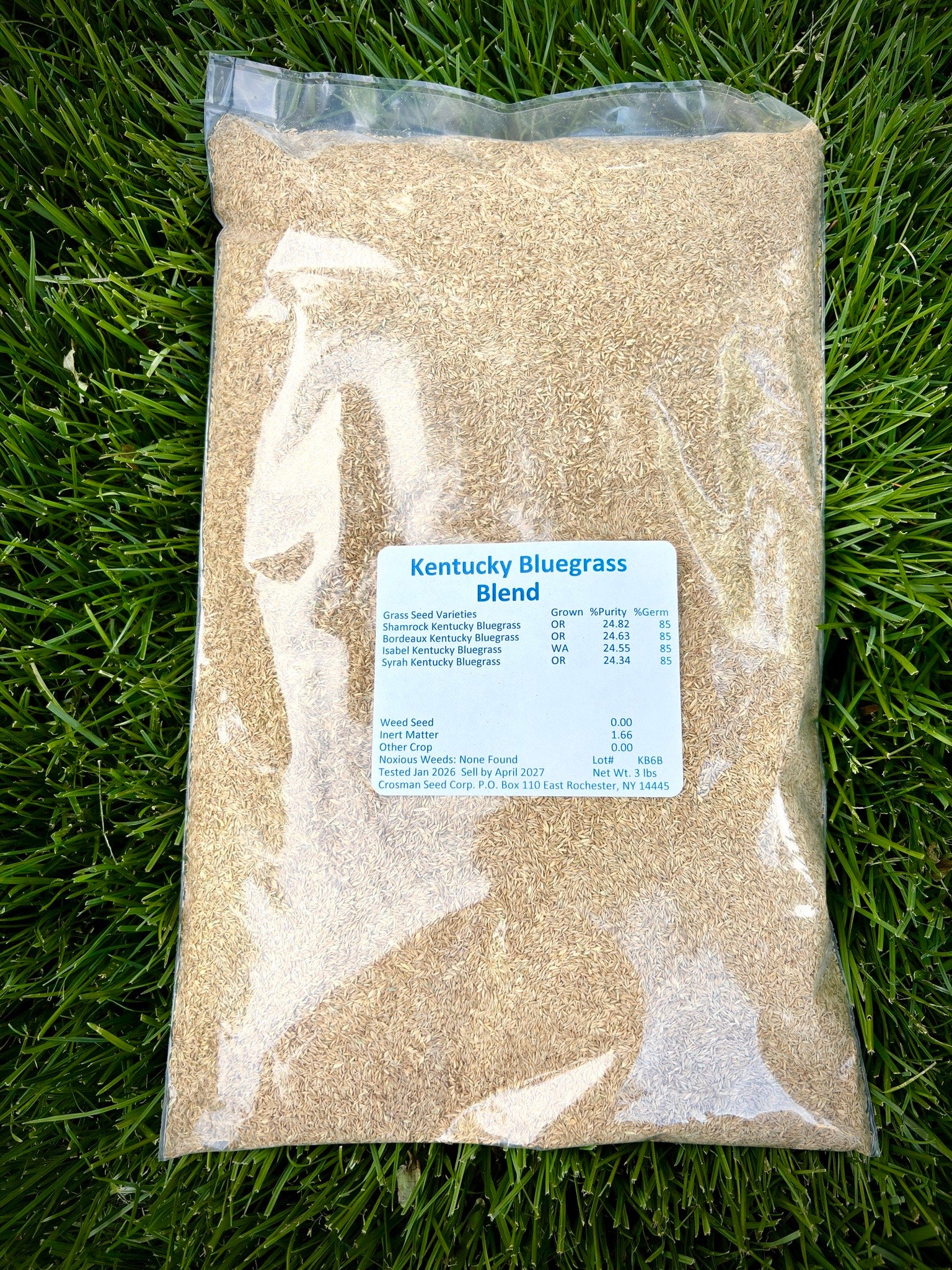 Crosman's Kentucky Bluegrass Blend | WillBloom Rochester NY