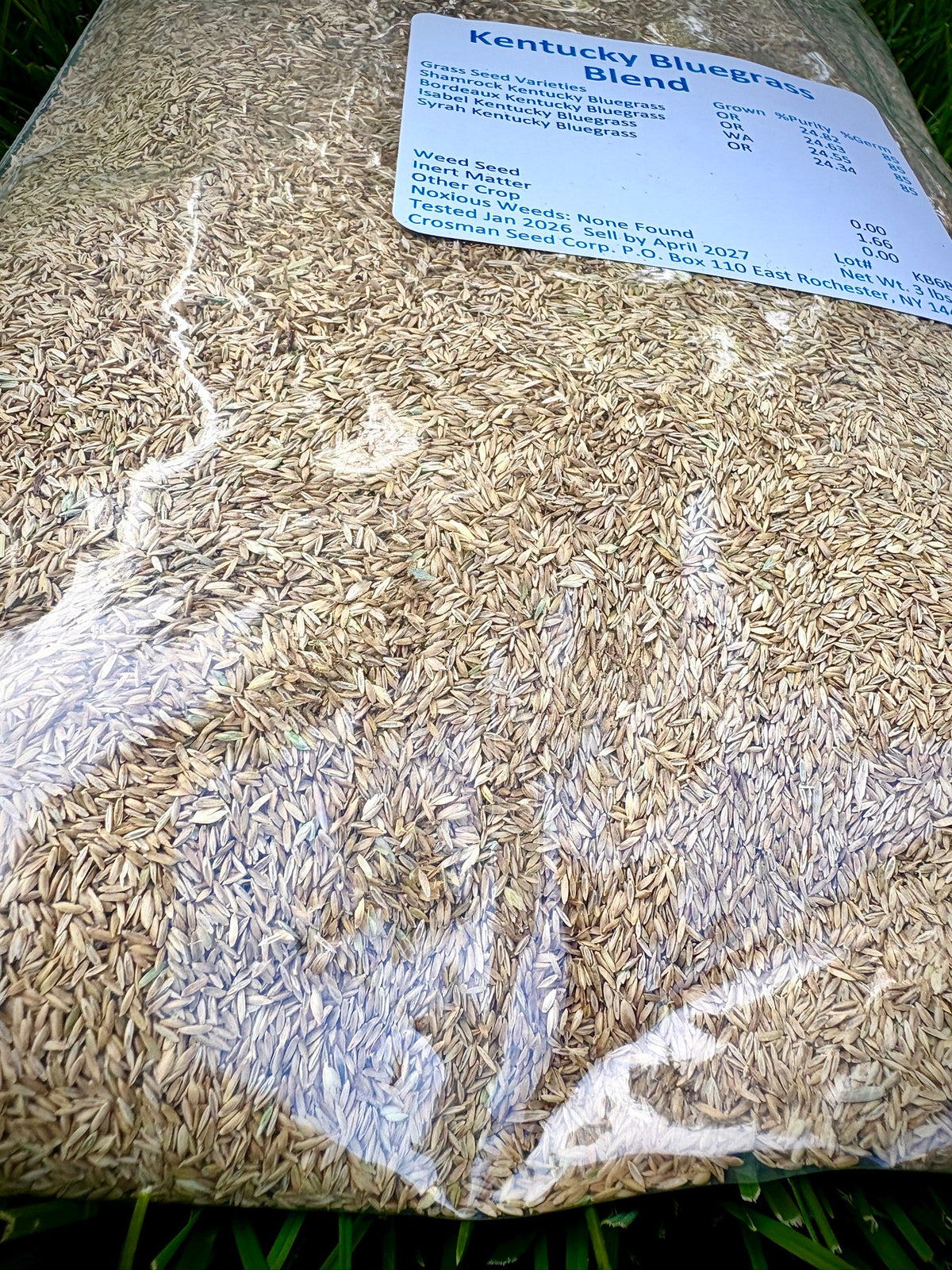 Crosman's Kentucky Bluegrass Blend