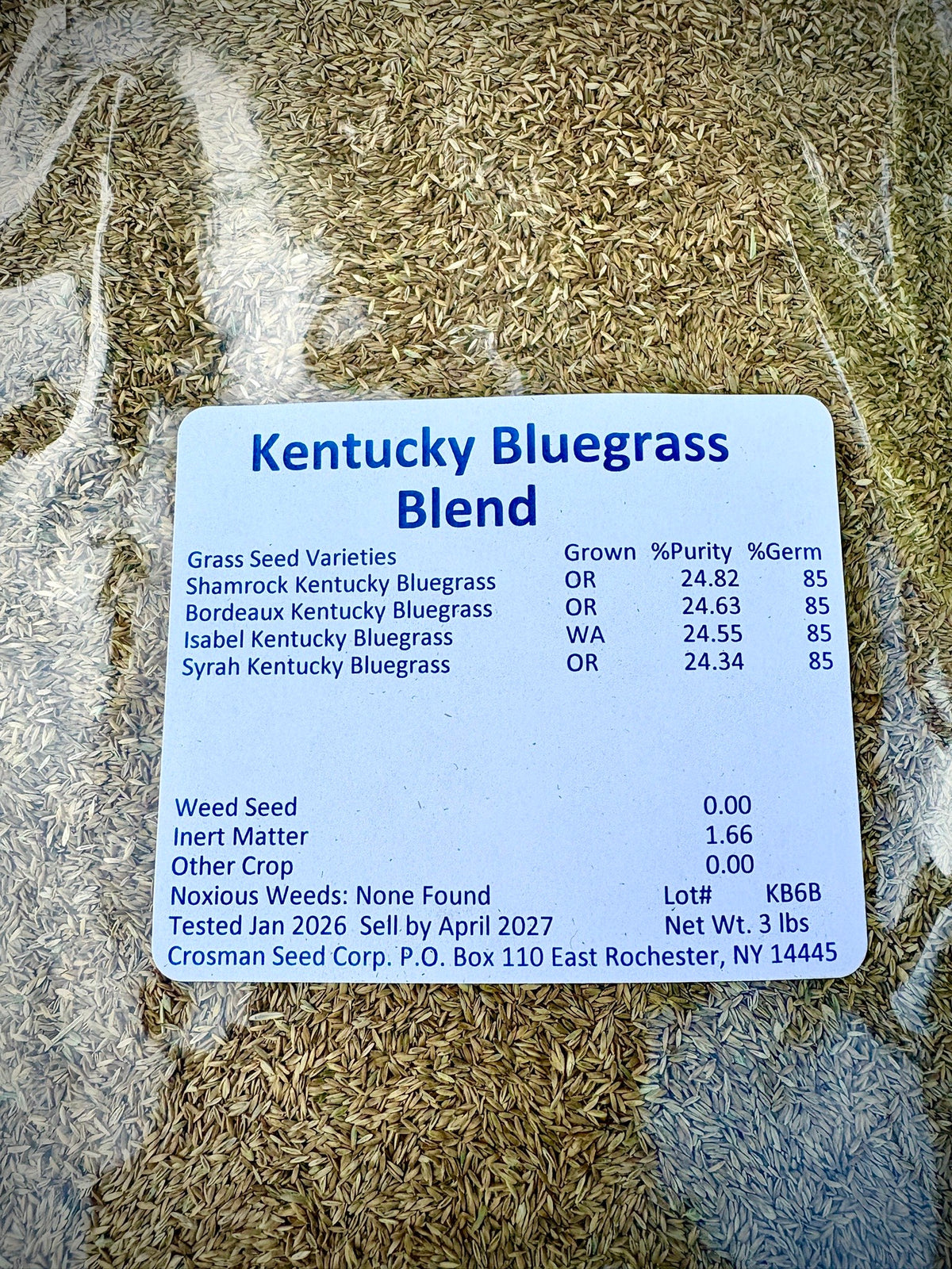 Crosman's Kentucky Bluegrass Blend