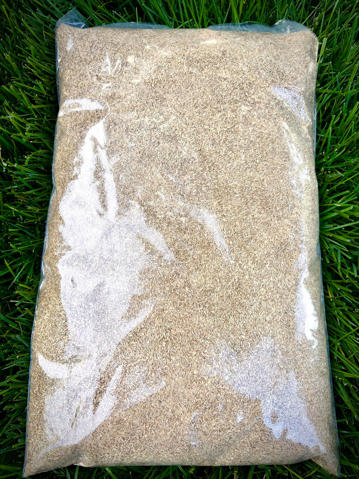 Crosman's Kentucky Bluegrass Blend