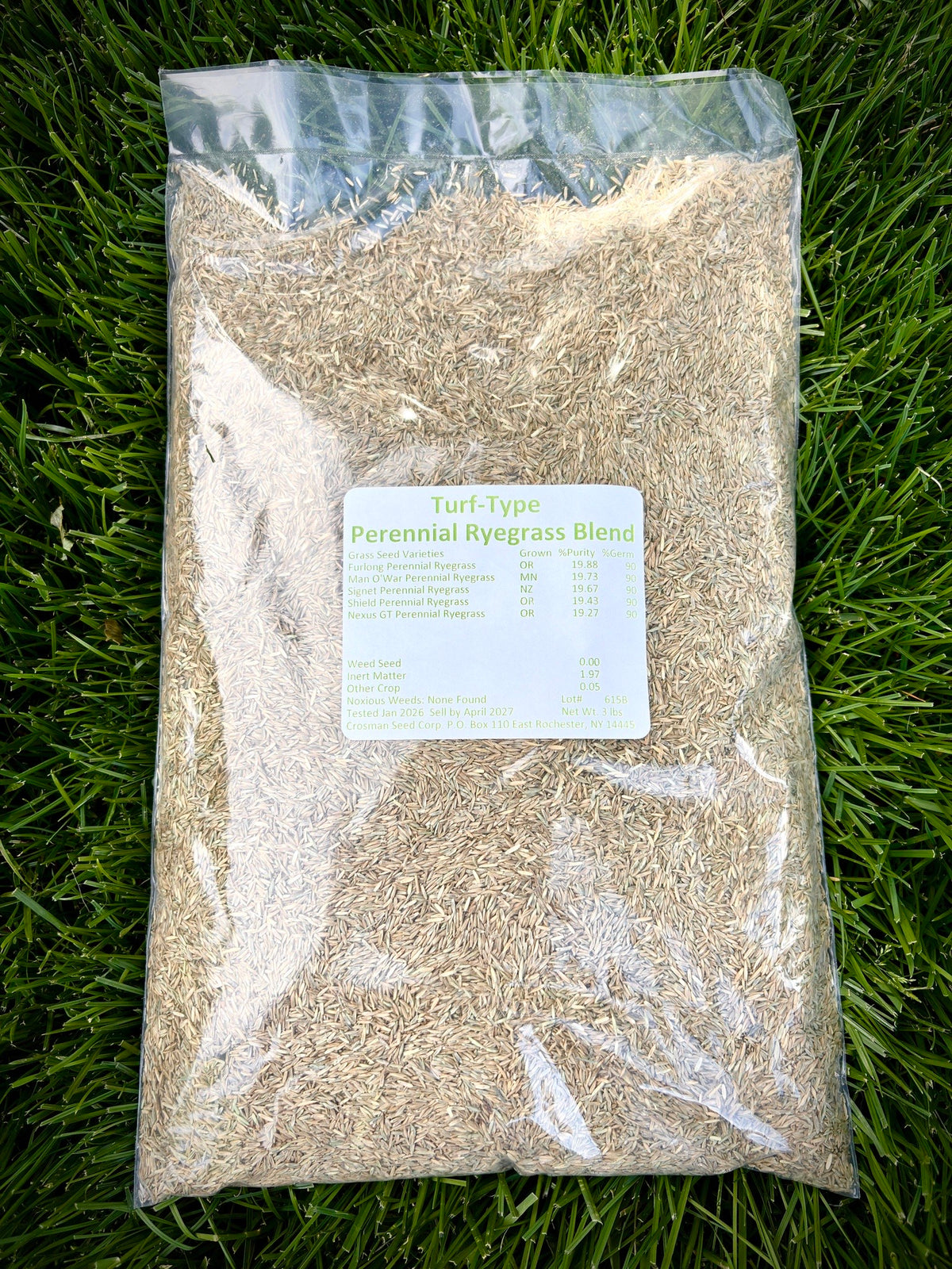 Crosman's Turf Type Perennial Ryegrass Blend