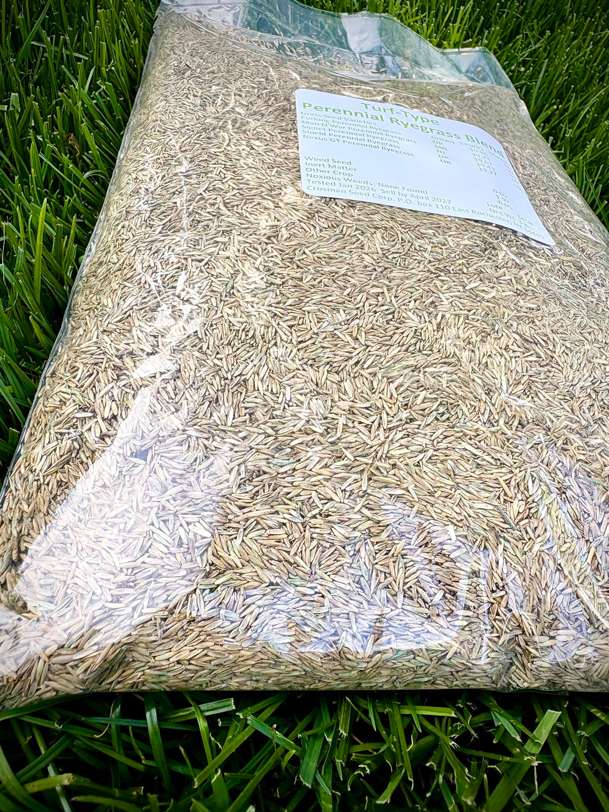 Crosman's Turf Type Perennial Ryegrass Blend