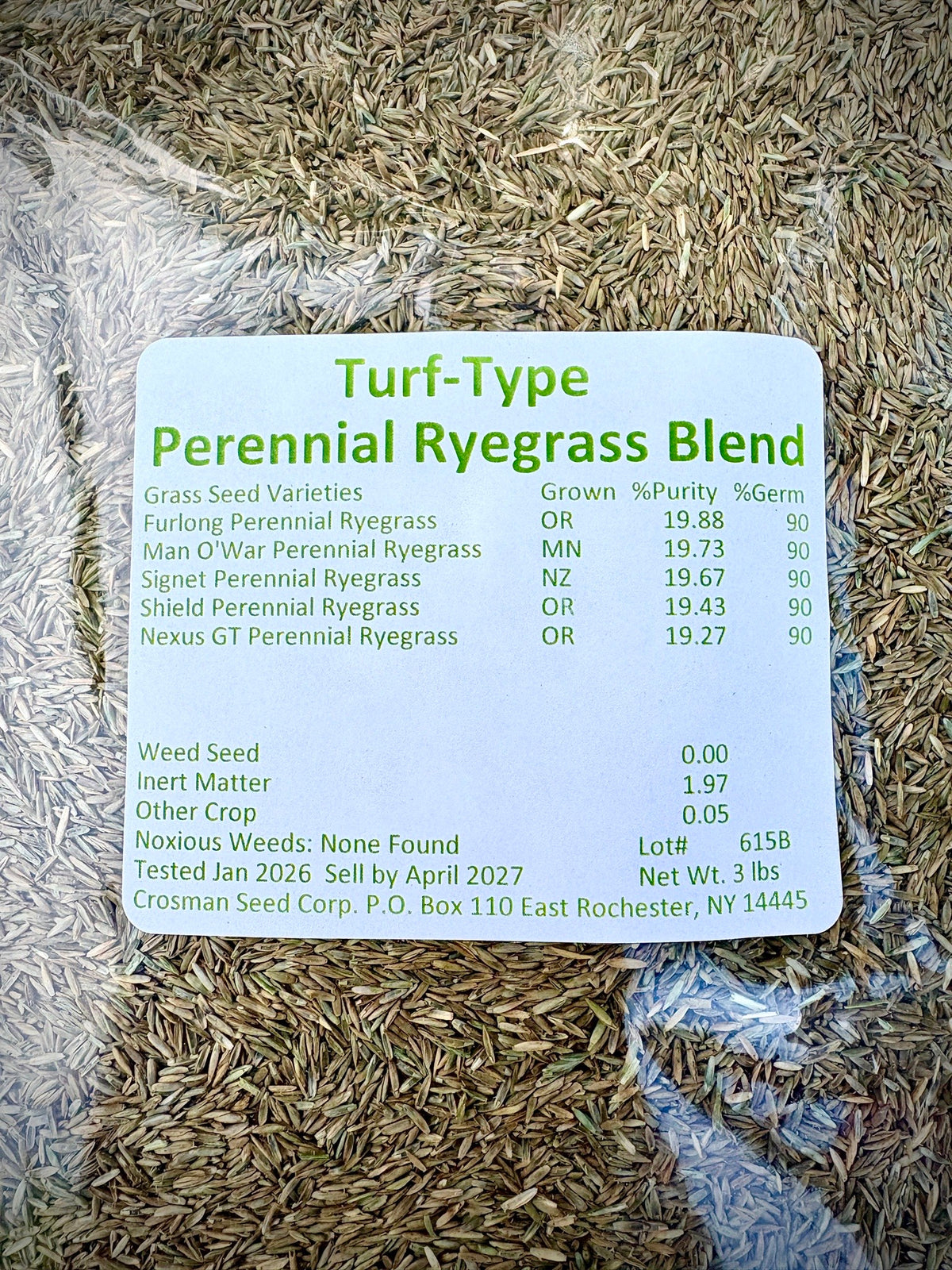 Crosman's Turf Type Perennial Ryegrass Blend