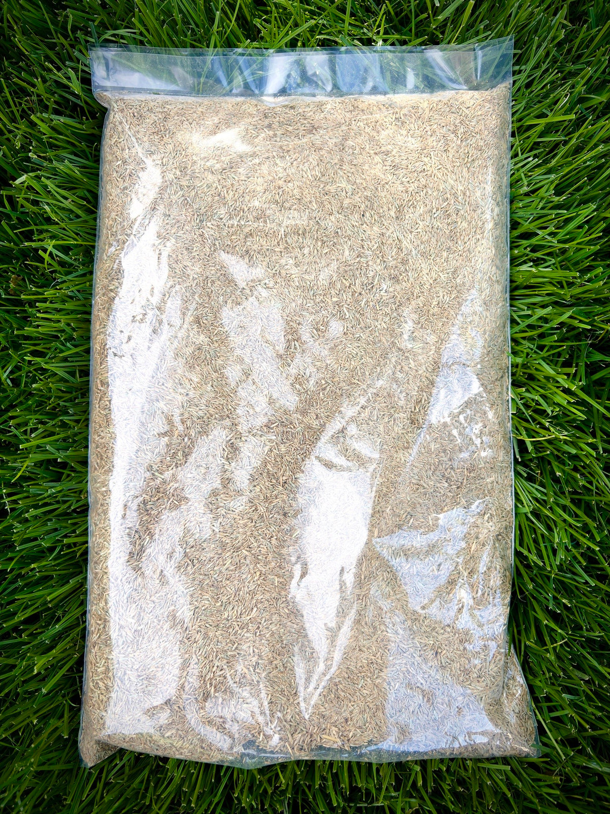 Crosman's Turf Type Perennial Ryegrass Blend